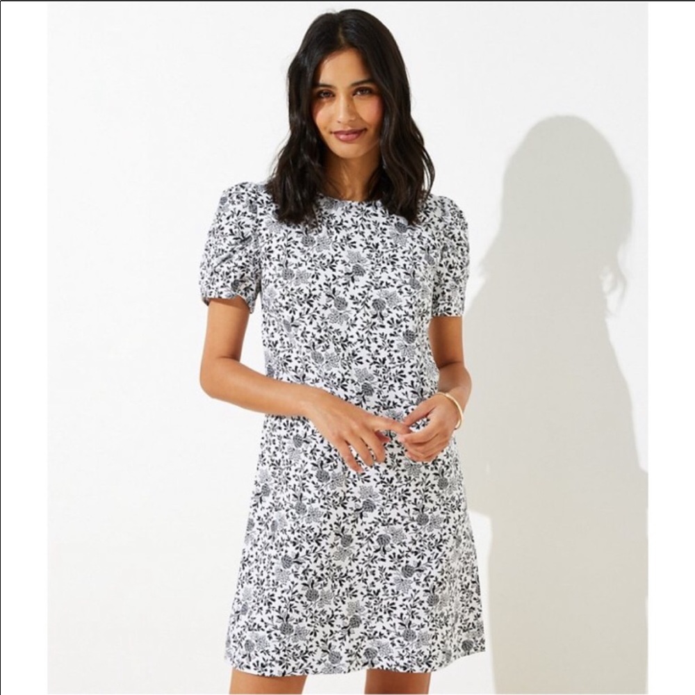 NWT Loft Black & White Ruched Sleeve Dress 12